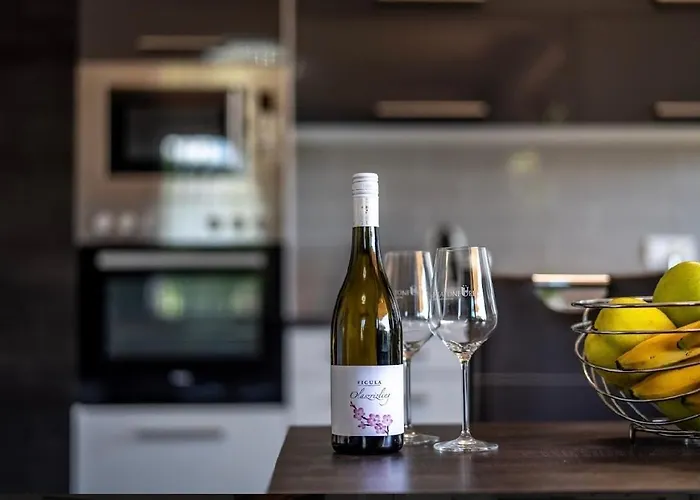 Panorama Penthouse Lejlighed Balatonfüred